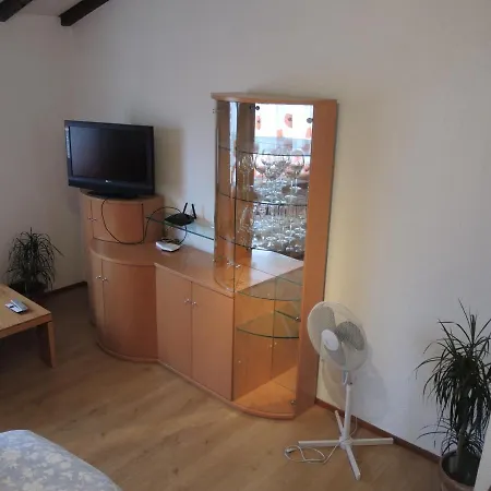 Casa Roy Apartment Minusio